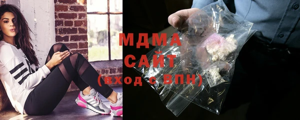 дмт Бородино
