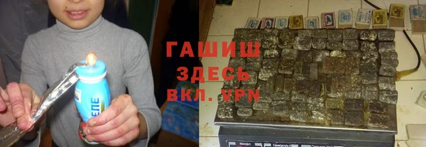 дмт Бородино