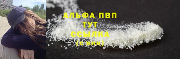 дмт Бородино