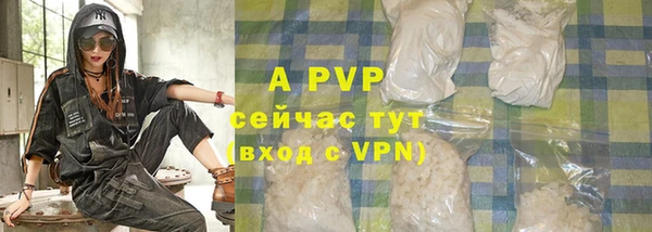 дмт Бородино