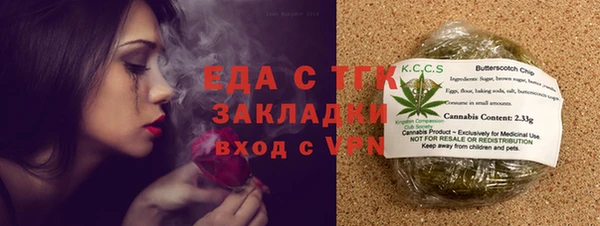 дмт Бородино