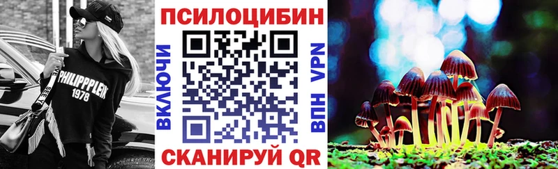 Псилоцибиновые грибы прущие грибы  Верхний Тагил 
